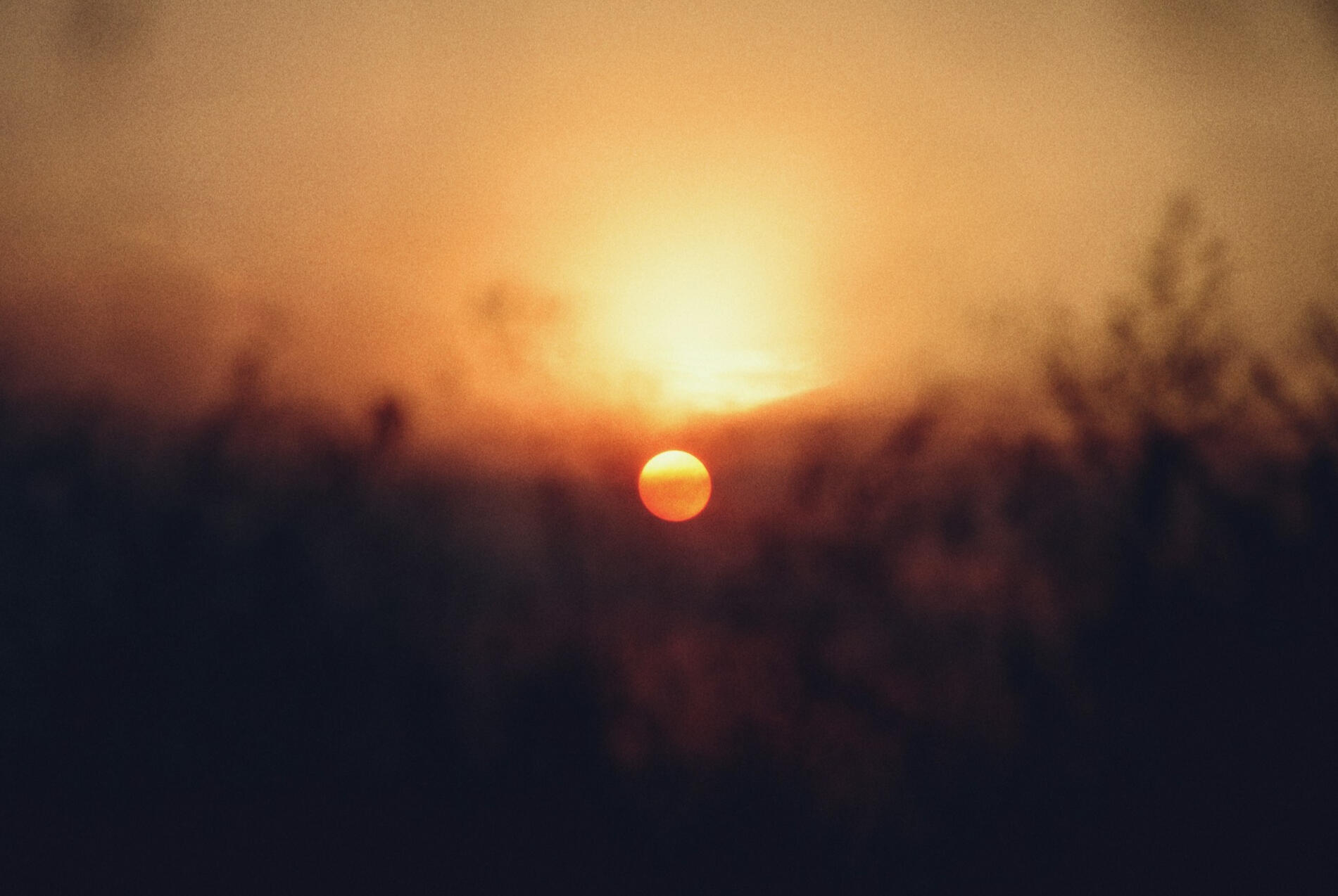 The Softening