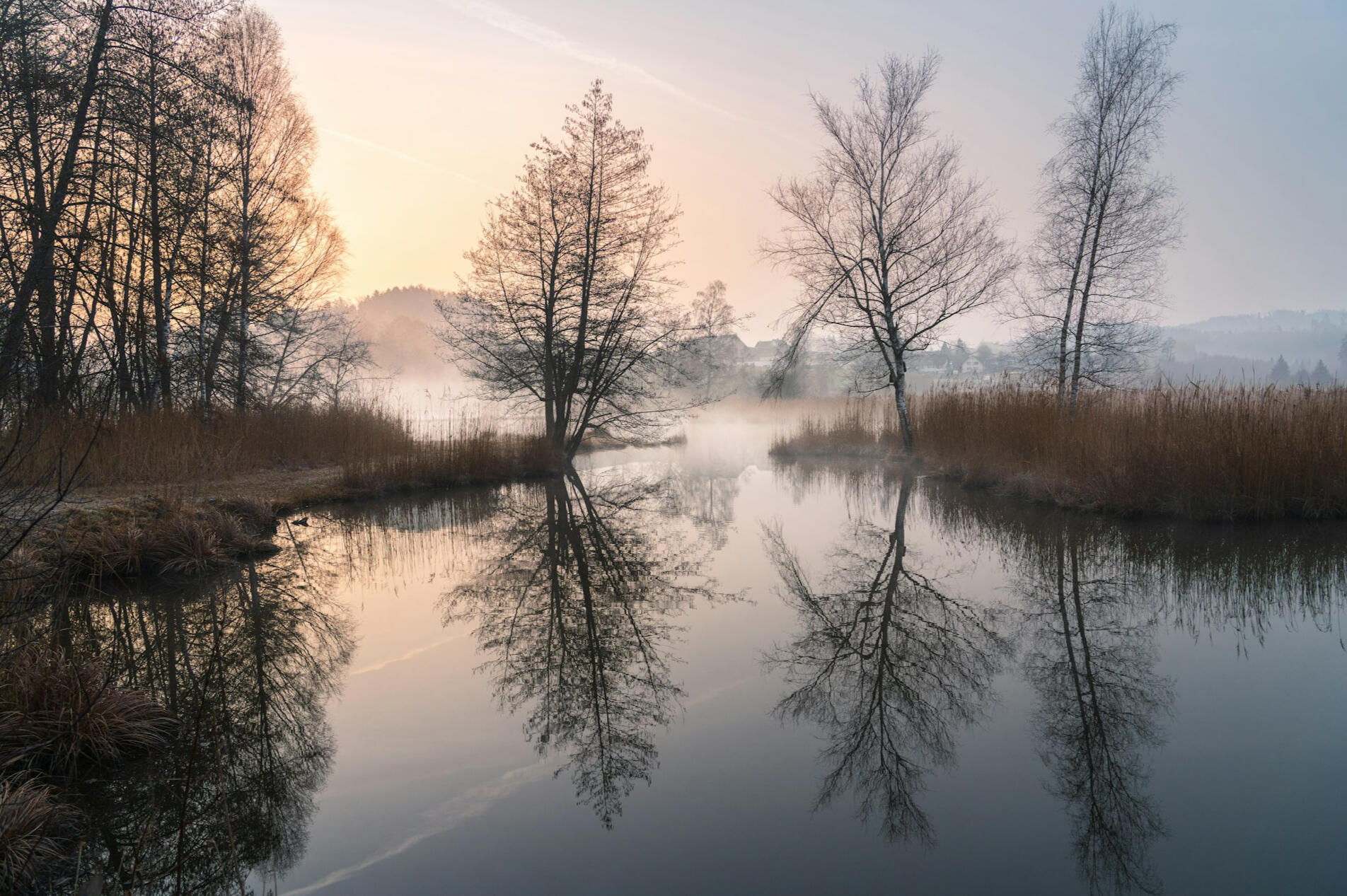The Reflection