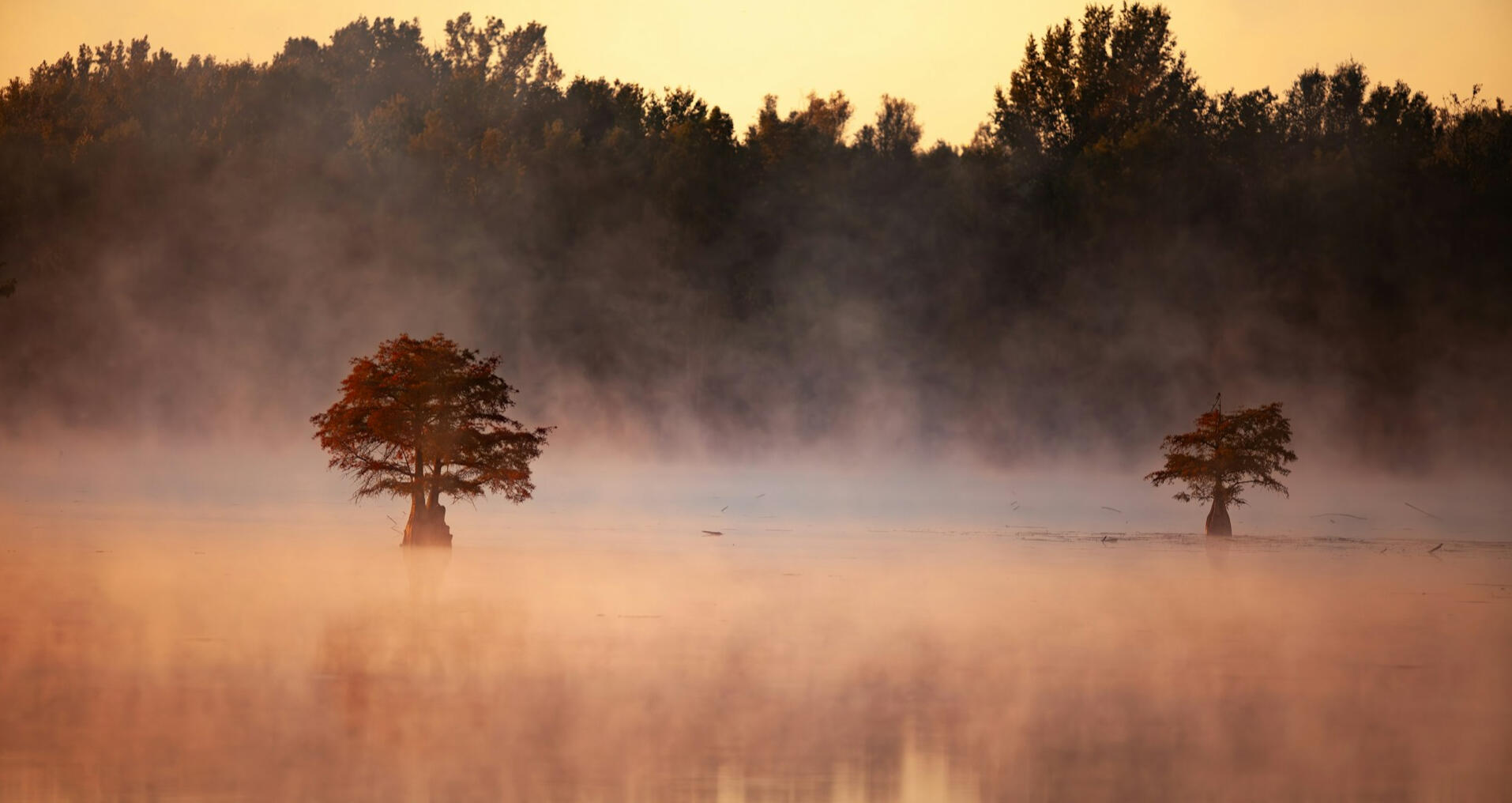 The Sanctuary
